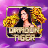 jur 747 Dragon Tiger live casino icon