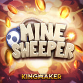 jur 747 Minesweeper game icon