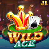 jur 747 Wild Ace slot icon